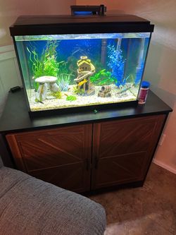Fish Tank Aquarium with Hood and Light