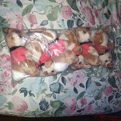 Rare Collectible Limited Edition Peter Rabbit Ty Beanie Baby 