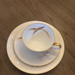 hutschenreuther porcelain tea cup, saucer and desert plate