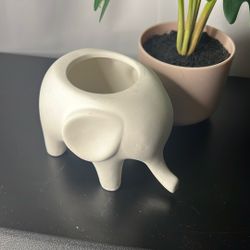 ($10) Plant Vase Cactus Flowers Small Modern White 