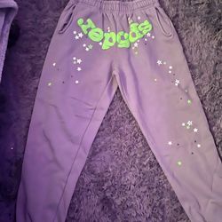 Sp5der Green And Grey Sweat Pants