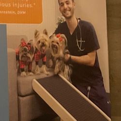 Dog Walking Ramp