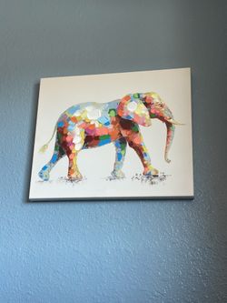 Elephant Photo 