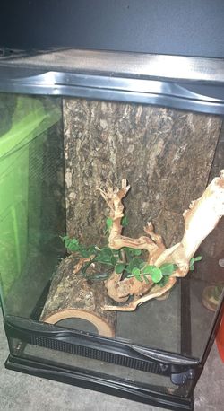 reptile tank