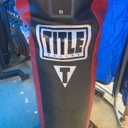 Title & Fighting Punching Heavy Bag