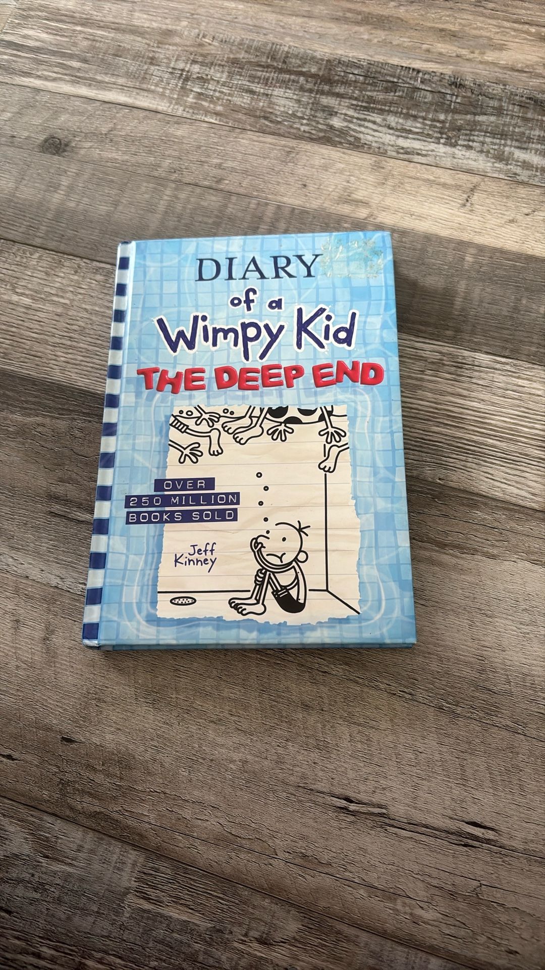Diary Of A Wimpy Kid The Deep End