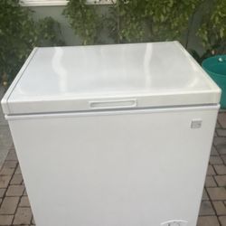 Deep Freezer Meat Fish 