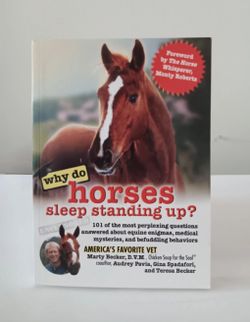 Why Do Horses Sleep Standing Up