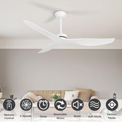 Ceiling Fan