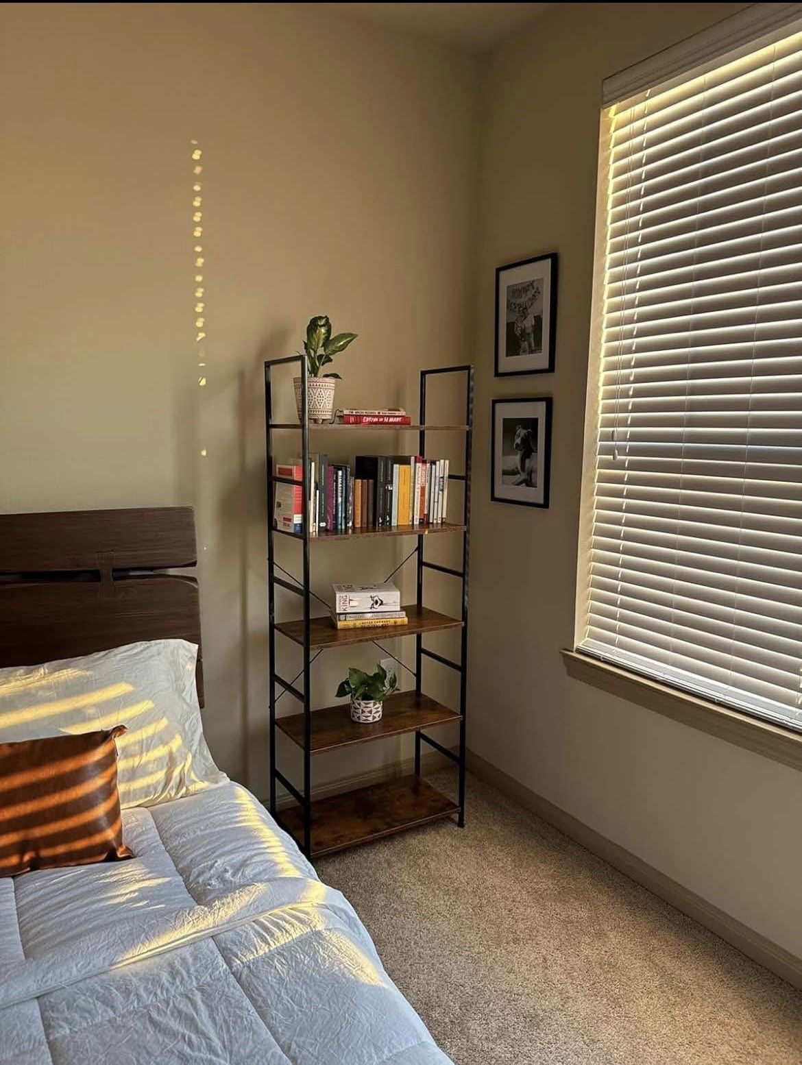 5-Tier Shelf Bookcase