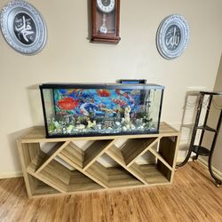 Fish Tank 