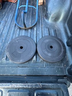 25lbs weight plates
