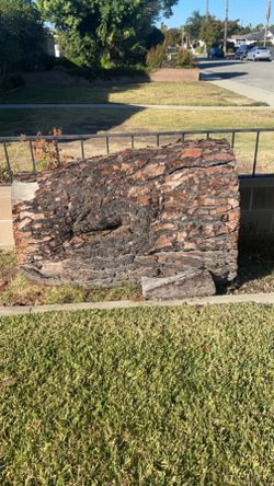 Free Big Pine Tree Log