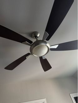 Ceiling fan