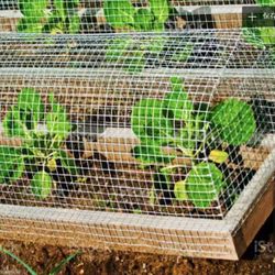 1/2 in. x 2 ft. x 100 ft. 19-Gauge Hardware Cloth, Galvanized Welded Cage Wire Poultry Netting Square Chicken Fencing