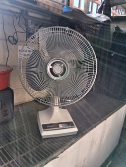 Fan