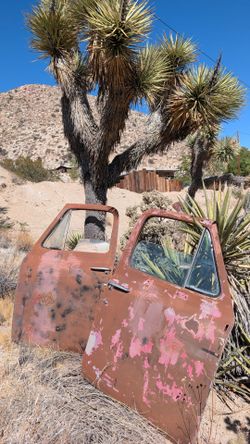 2) 50s Ford truck doors rustic decor patina door pair panel f100 vintage shop man cave storefront decoration '55