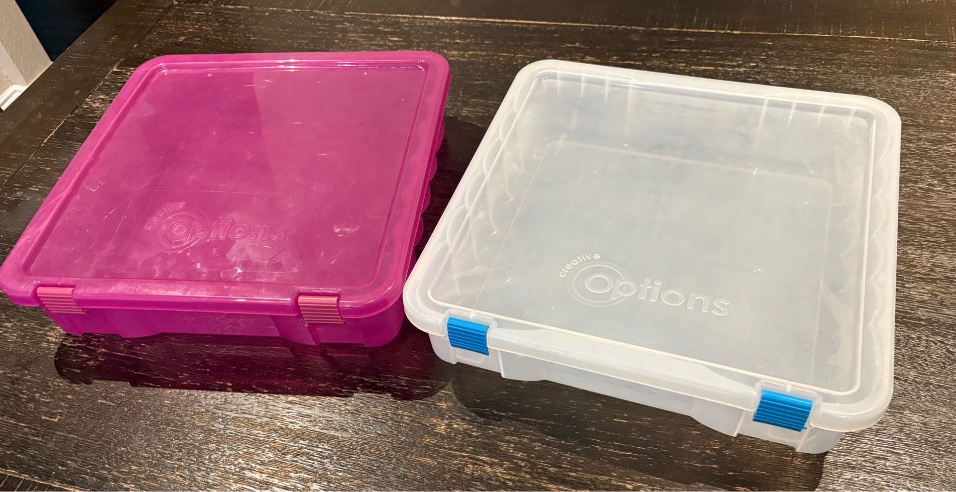 Creative Options scrapbook/arts and crafts storage