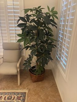 Large Artificial Indoor Tree in Wicker Basket