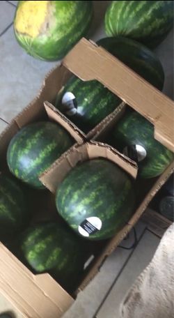 Watermelons