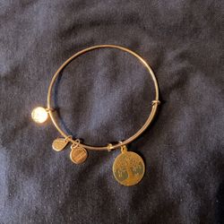 Alex and Ani Rose Gold Living Tree Bangle Bracelet 