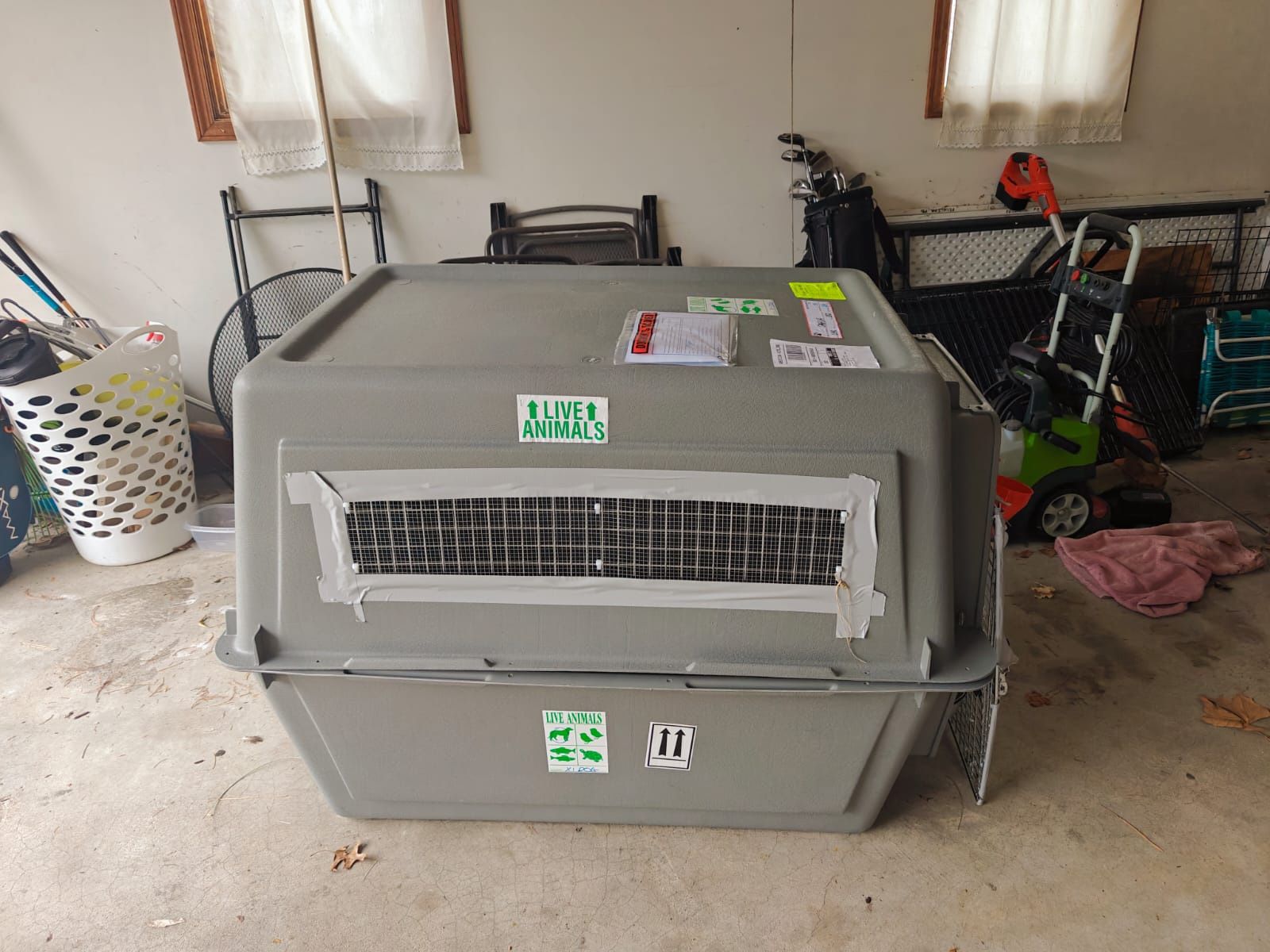 Xl Airlines kennel