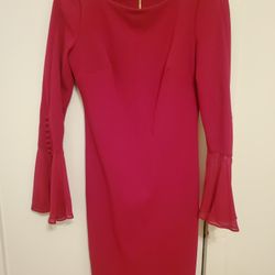 Used Women's Red Calvin Klein Dress Size 4