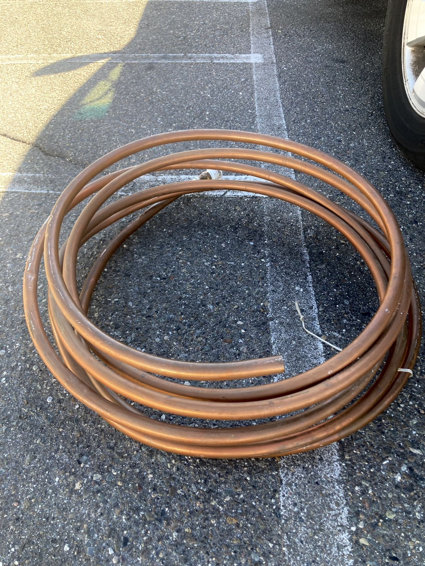 Copper Worm
