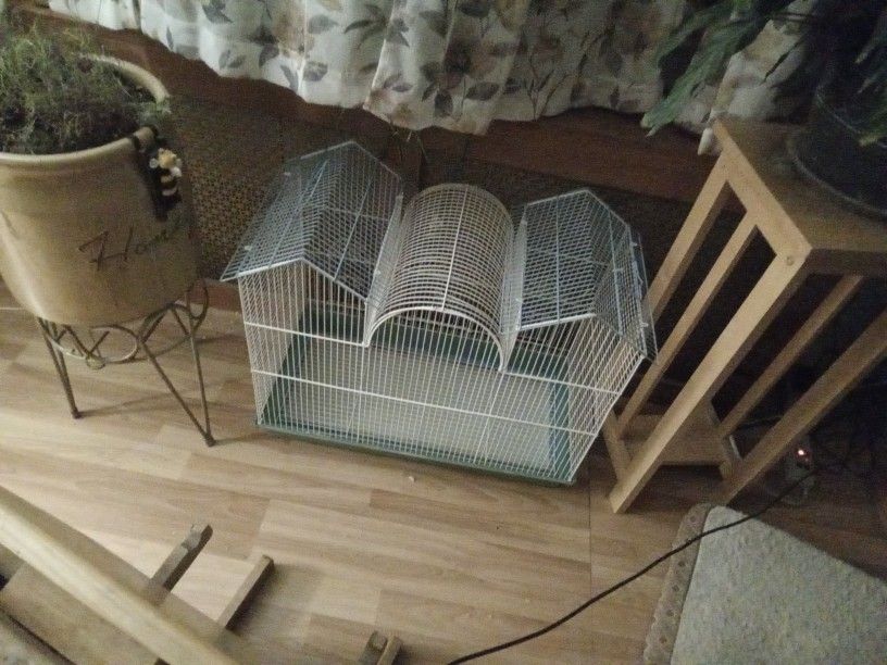 Bird Cage