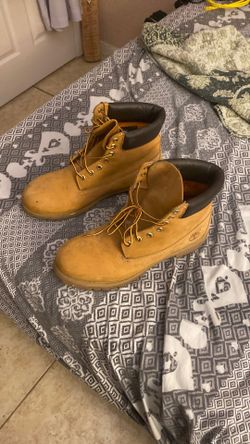 Size 13 Timbs