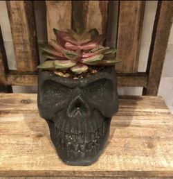 Handcrafted Cement Black Skull With Faux Succulents Halloween Decor New in Box