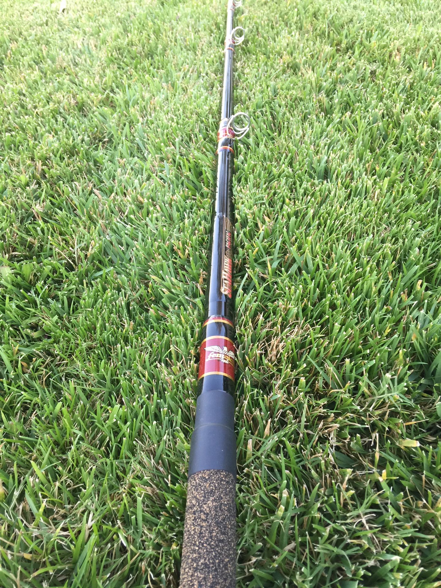 Fenwick Seahawk Pacific conventional fishing pole 8’6”