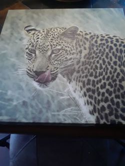 22 x 22 canvas print