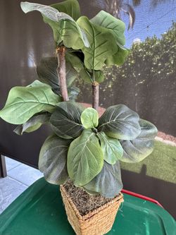 Mini Fiddle Artificial Tree With Woven Basket