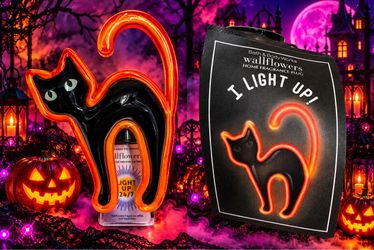 Neon cat-wall plug-in