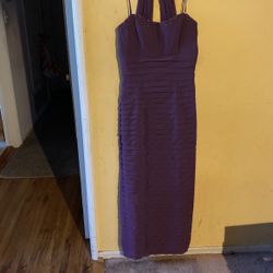 Purple Gown Long Dress With Shole