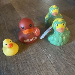 Duck’s