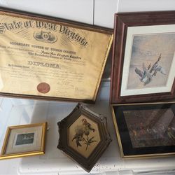 Vintage Framed Art & Diploma Lot – Birds, Wall Art, Antique Frame Decor (5 Pieces)