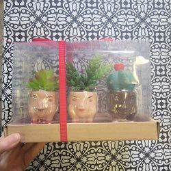 Small Fake Succulents New