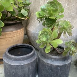 (3) Small Matching Ceramic Pots🪴🪴🪴