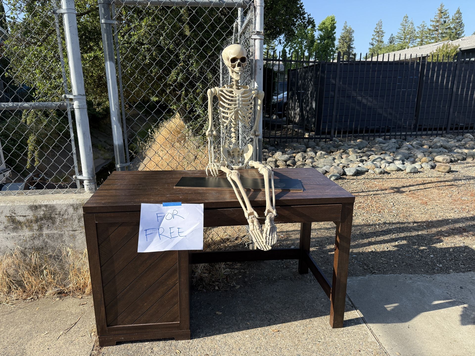 Free Desk W Skeleton