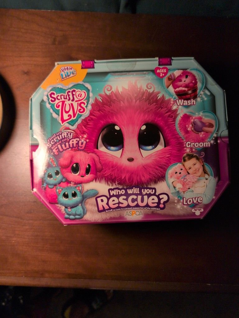 Toy