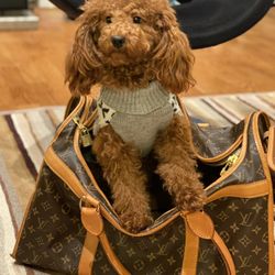 LV Dog Travel Carrier Bag