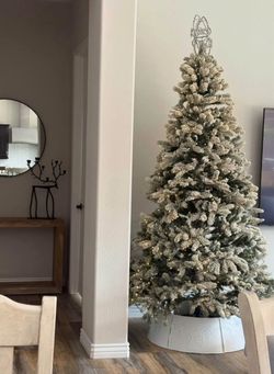 King of Christmas 8’ flocked￼ Christmas tree