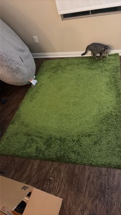 Green plush area rug 50x70