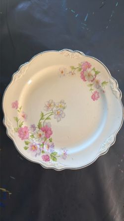 Homer Laughlin Virginia Rose Dinner Plates (14)