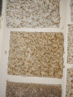 New Carpet