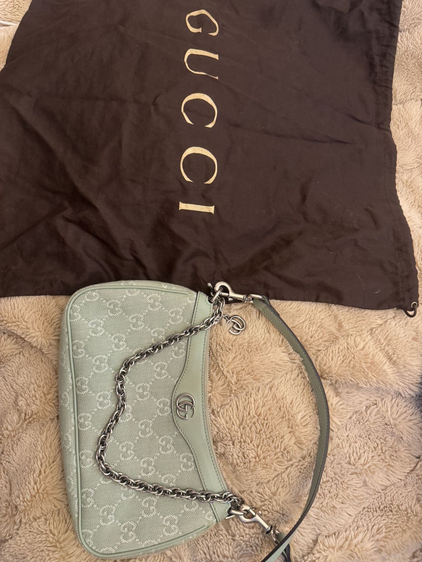 Mint Color Gucci Silver Metal Purse