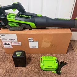 GreenWorks PRO Blower - 800 Cfm