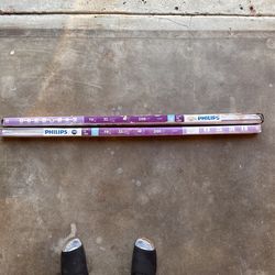 2 Fluorescent Lights